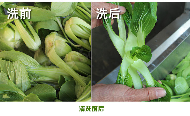 食品消毒洗菜機細節(jié)